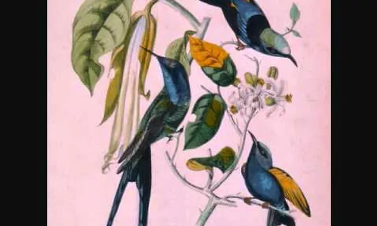Susumu Yokota "Naminote"