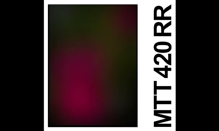 IDLES - MTT 420 RR (Official Audio)