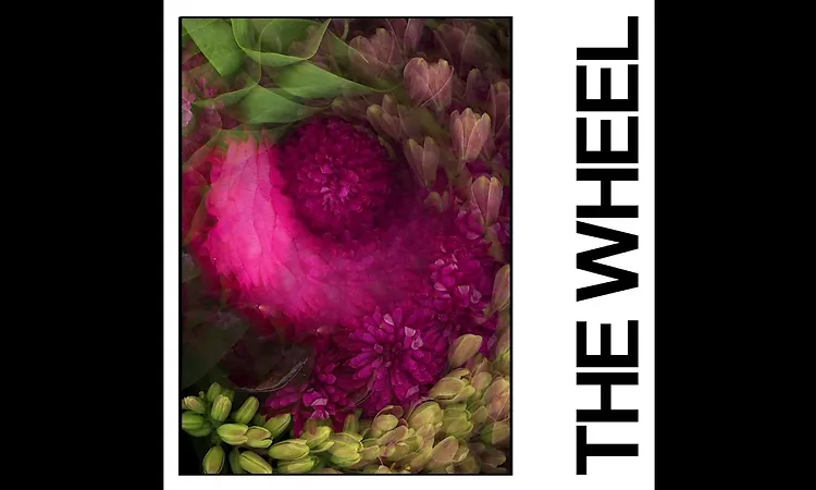IDLES - THE WHEEL (Official Audio)