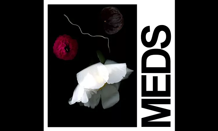 IDLES - MEDS (Official Audio)