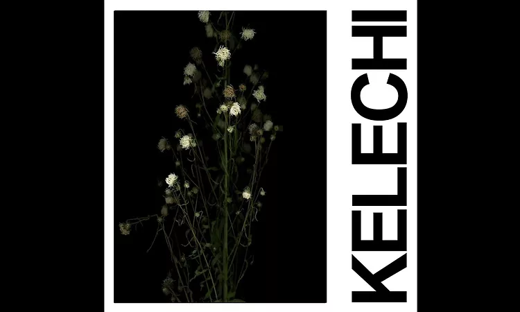 IDLES - KELECHI (Official Audio)