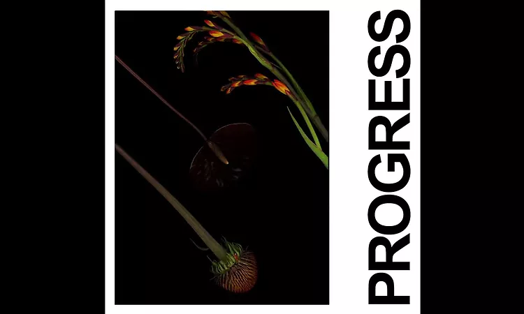 IDLES - PROGRESS (Official Audio)