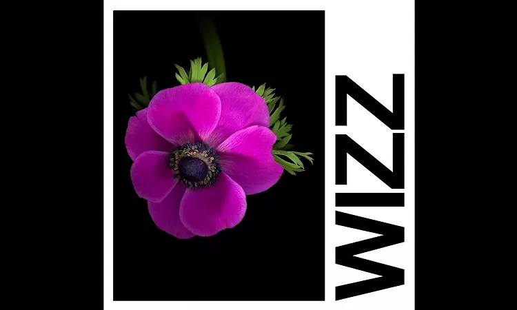 IDLES - WIZZ (Official Audio)