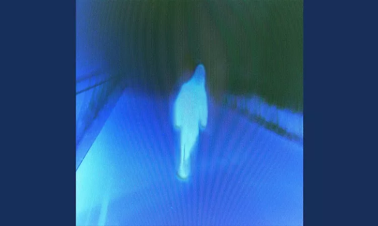 Remaining