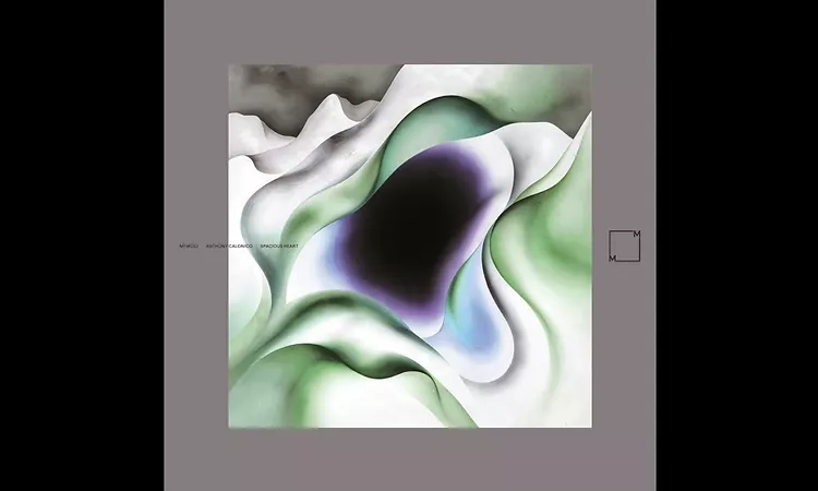 Anthony Calonico - Gray Glow