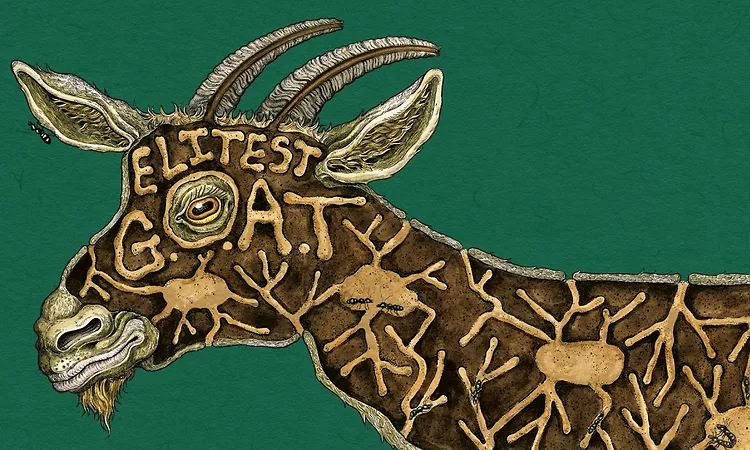 Sleaford Mods feat. Aldous Harding - Elitest G.O.A.T. (The Prodigy Acid Thunder Remix)