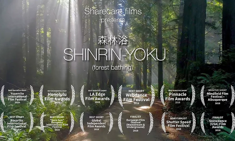  Shinrin-Yoku, (Forest Bathing)