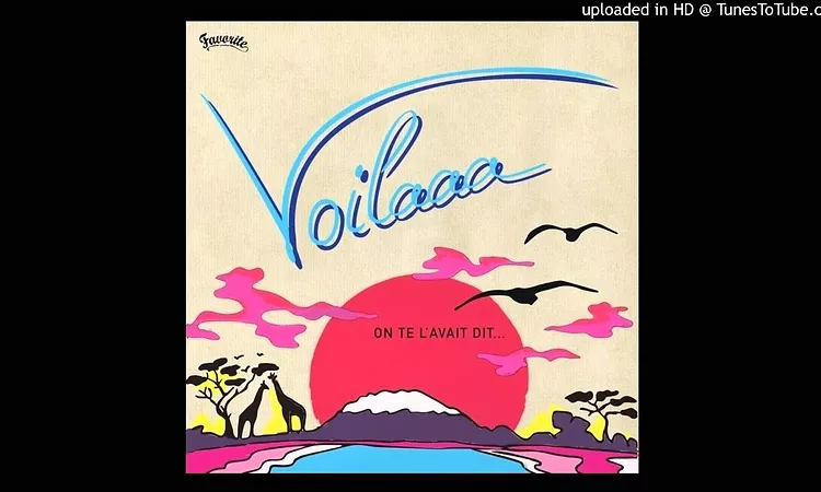 Voilaaa - Enlevez-moi ?a (feat. pat kalla)