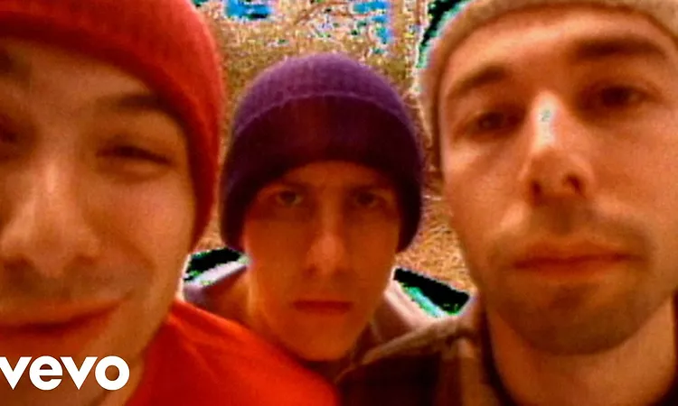 Beastie Boys - So What Cha Want