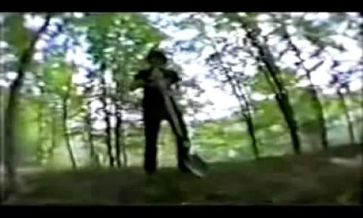 Elliott Smith - Waltz #2 (XO) (from Strange Parallel)