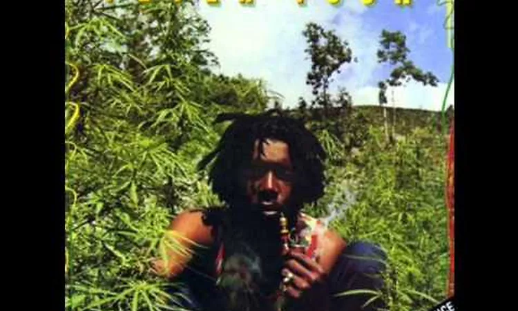 Peter Tosh - Legalize it