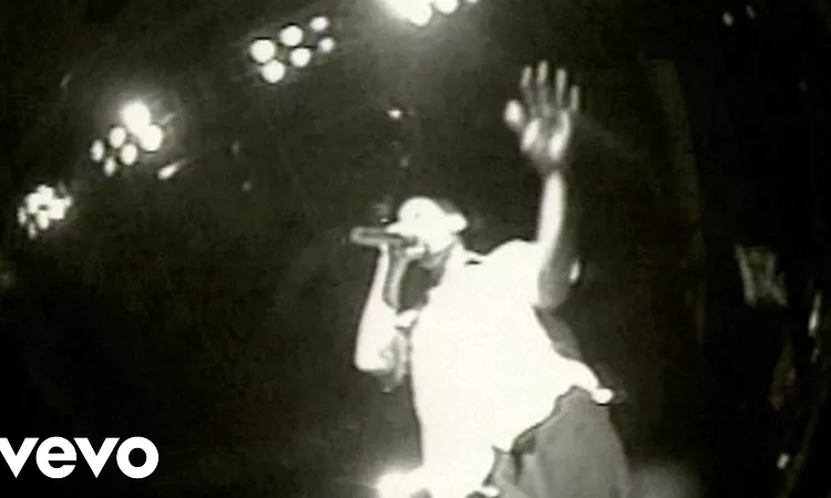 Beastie Boys - Root Down