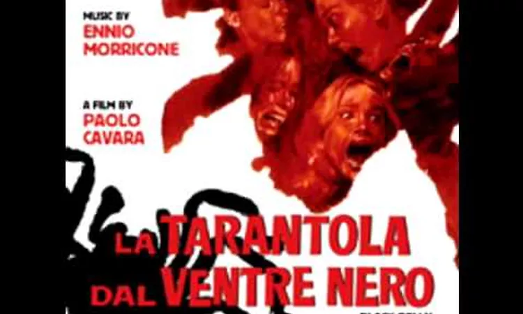 L'Abbraccio Caldo Della Tarantola