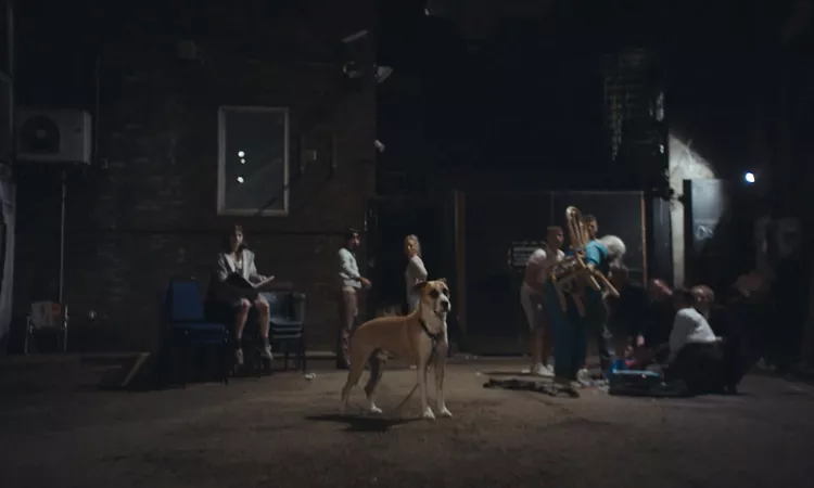 Panda Bear - Mr Noah (Official Video)