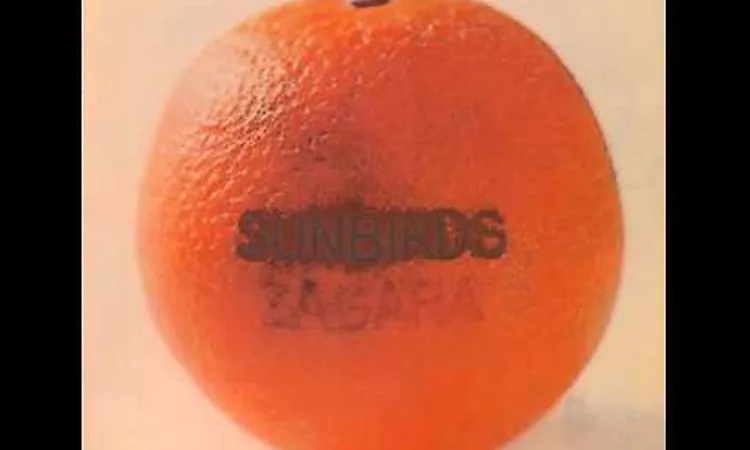 Sunbirds - African sun -1973