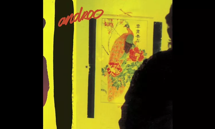 Androo - 2000 & Universe