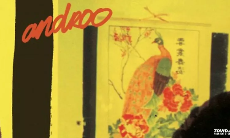Androo - Pansilvania - Cosmos Reggae