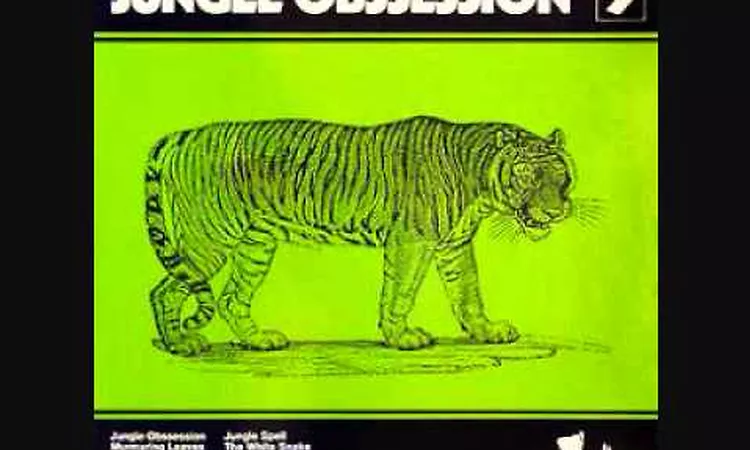 Nino Nardini & Roger Roger - Jungle Spell