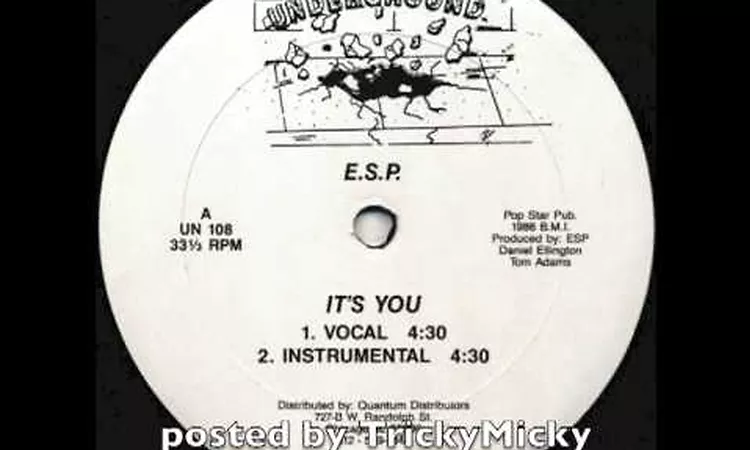 [1986] E.S.P. ?- It's You (Vocal)
