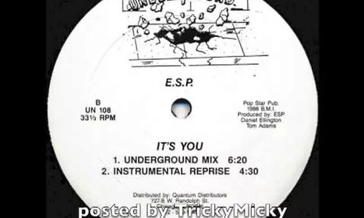 [1986] E.S.P. ?- It's You (Instrumental Reprise)