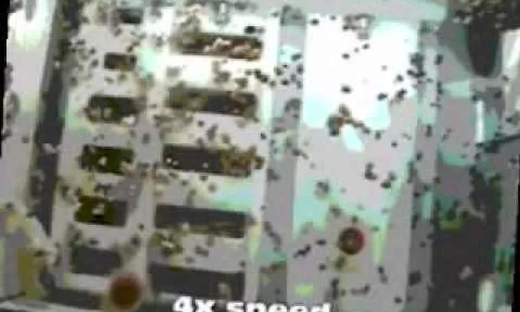 Gesloten Cirkel When its late.flv