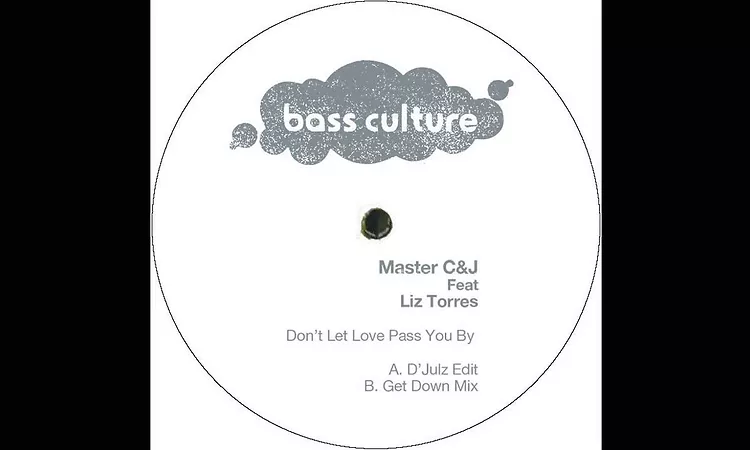 Master C & J feat Liz Torres - Don?t Let Love Pass You By (D'julz edit)