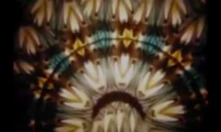 Neon Indian - Should Have Taken Acid With You - Psychic Chasms - 2009
