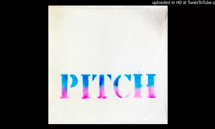 PREMIERE: Pitch - What Am I Gonna Do For Fun (Tolouse Low Trax Remix) [Idle Press]