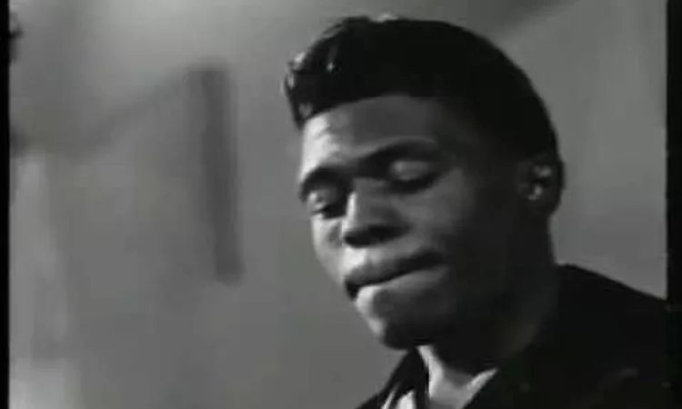 Junior Wells' Chicago Blues Band - Hoodoo Man Blues