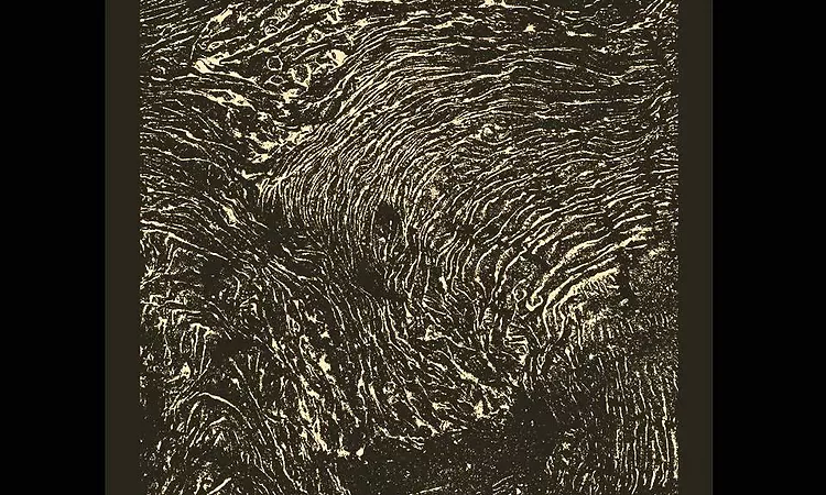 JOHN TALABOT ?? ?IN (2012) VINYL