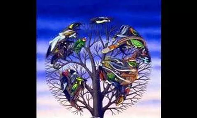 Talk Talk - ASCENSION DAY