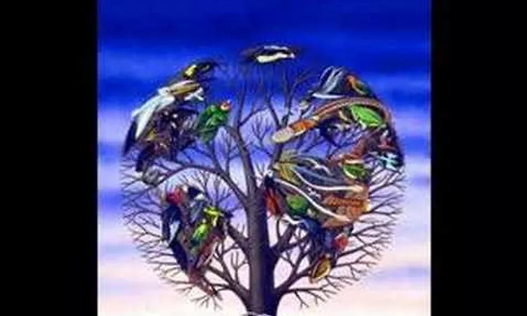 Talk Talk - AFTER THE FLOOD - 1991