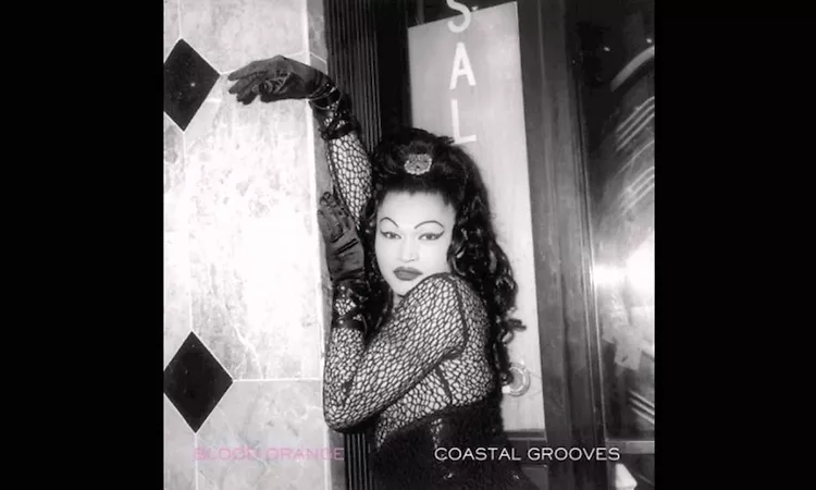 Are You Sure You're Really Busy - Blood Orange [Coastal Grooves] (2011)