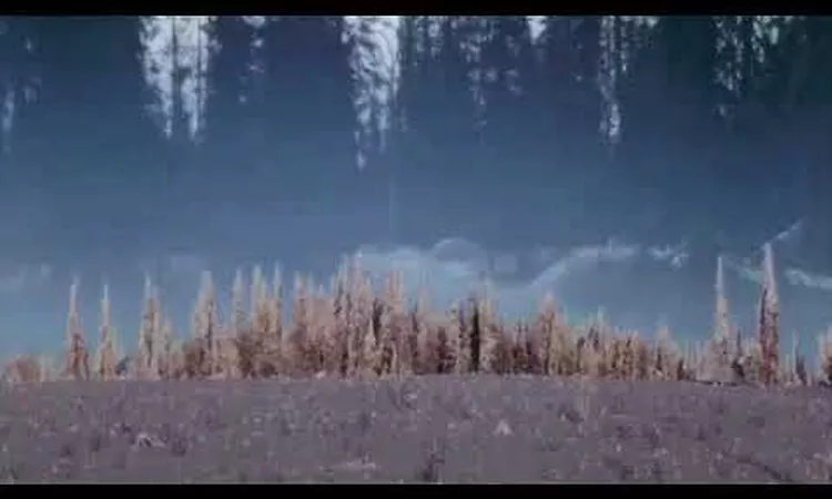 DUTCH DREAM GIRLS -  Finlandia