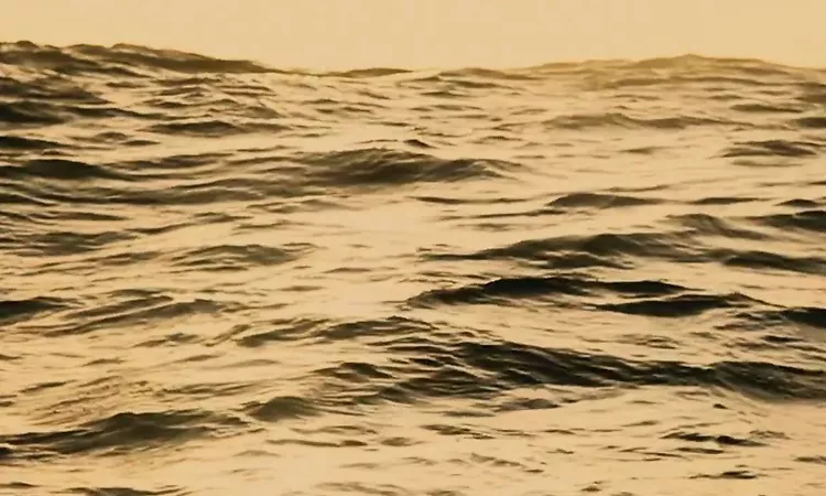 Ben Howard - Old Pine Official
