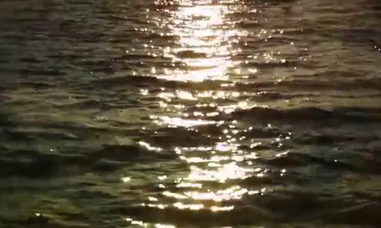Allah-Las - Worship The Sun (Official Video)