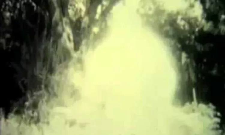 Broadcast and The Focus Group - a Seancing Song