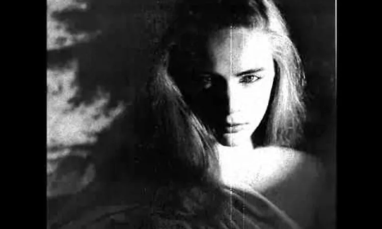 Veronique Vincent/Aksak Maboul -- Le Troisi?me Personnage