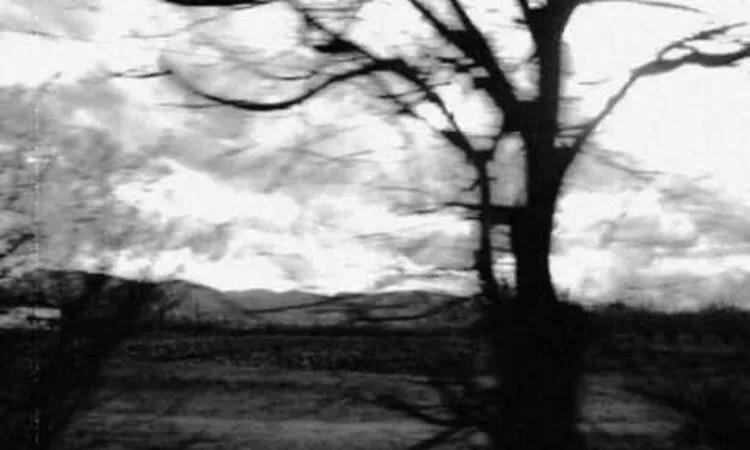 Mazzy Star - Into dust