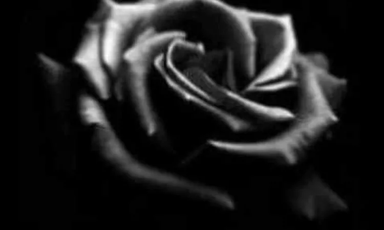 Wasted - Mazzy Star