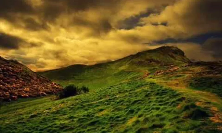 John Martyn - Go Down Easy