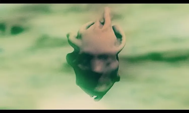Gojira - The Shooting Star [OFFICIAL VIDEO]