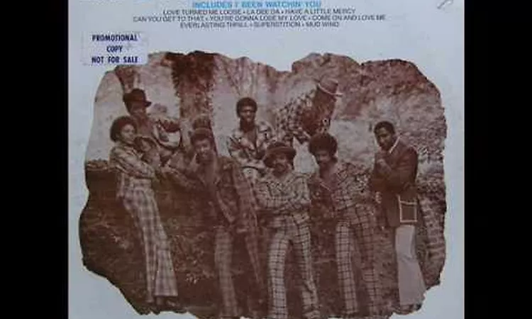 The SouthSide Movement-I' Been Watching You(1973)