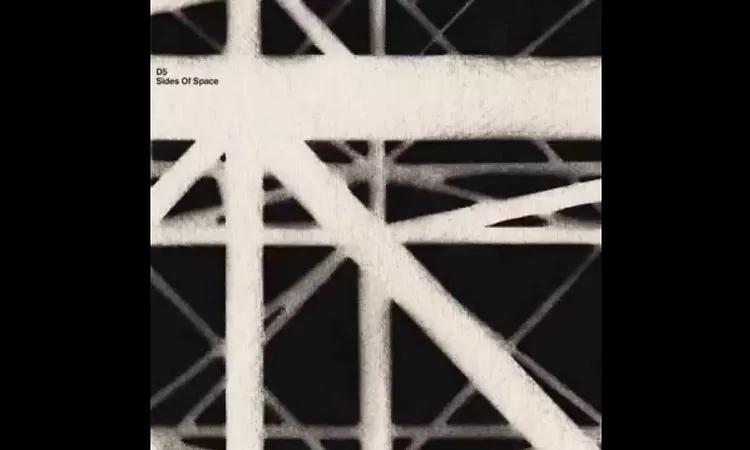 D5 ? Transglide | Delsin Records