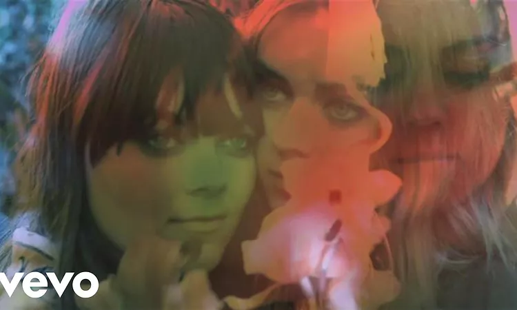 First Aid Kit - Cedar Lane