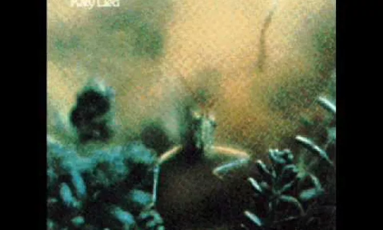 Steely Dan-I Got The News