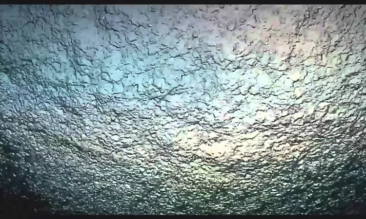 Wim Mertens - Struggle For Pleasure *HD