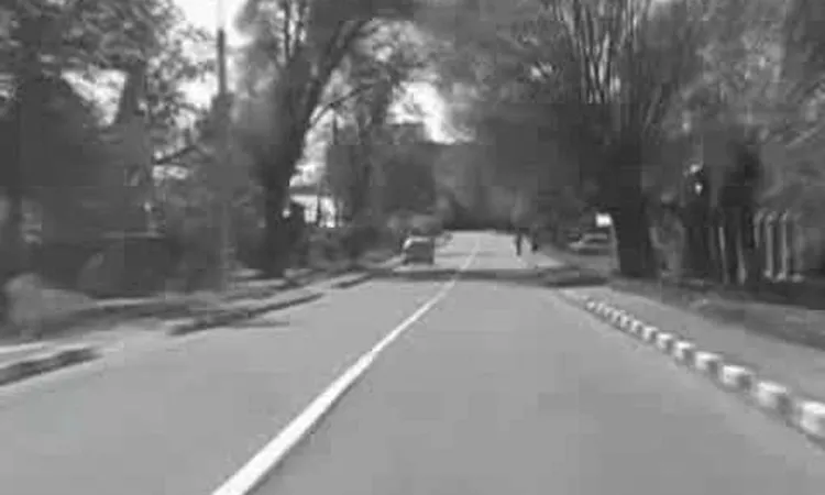 Mark Lanegan - Field Song (Fan video)