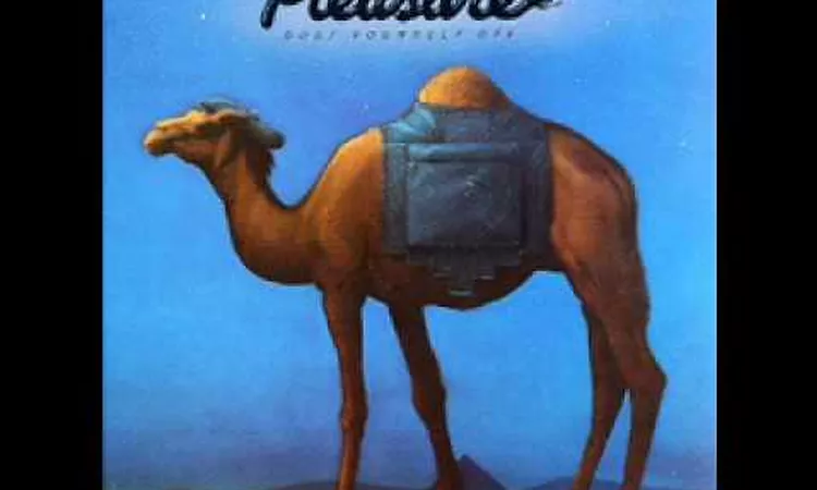 Pleasure - Bouncy Lady