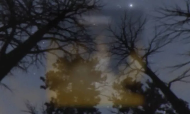 Neo Maya - I Won't Hurt You (Late Night Tales: David Holmes)